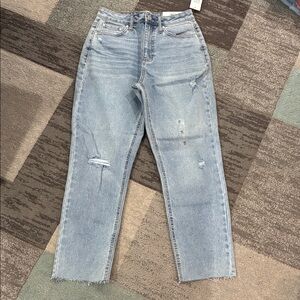 Stylish Light Blue Cropped Women's Jeans